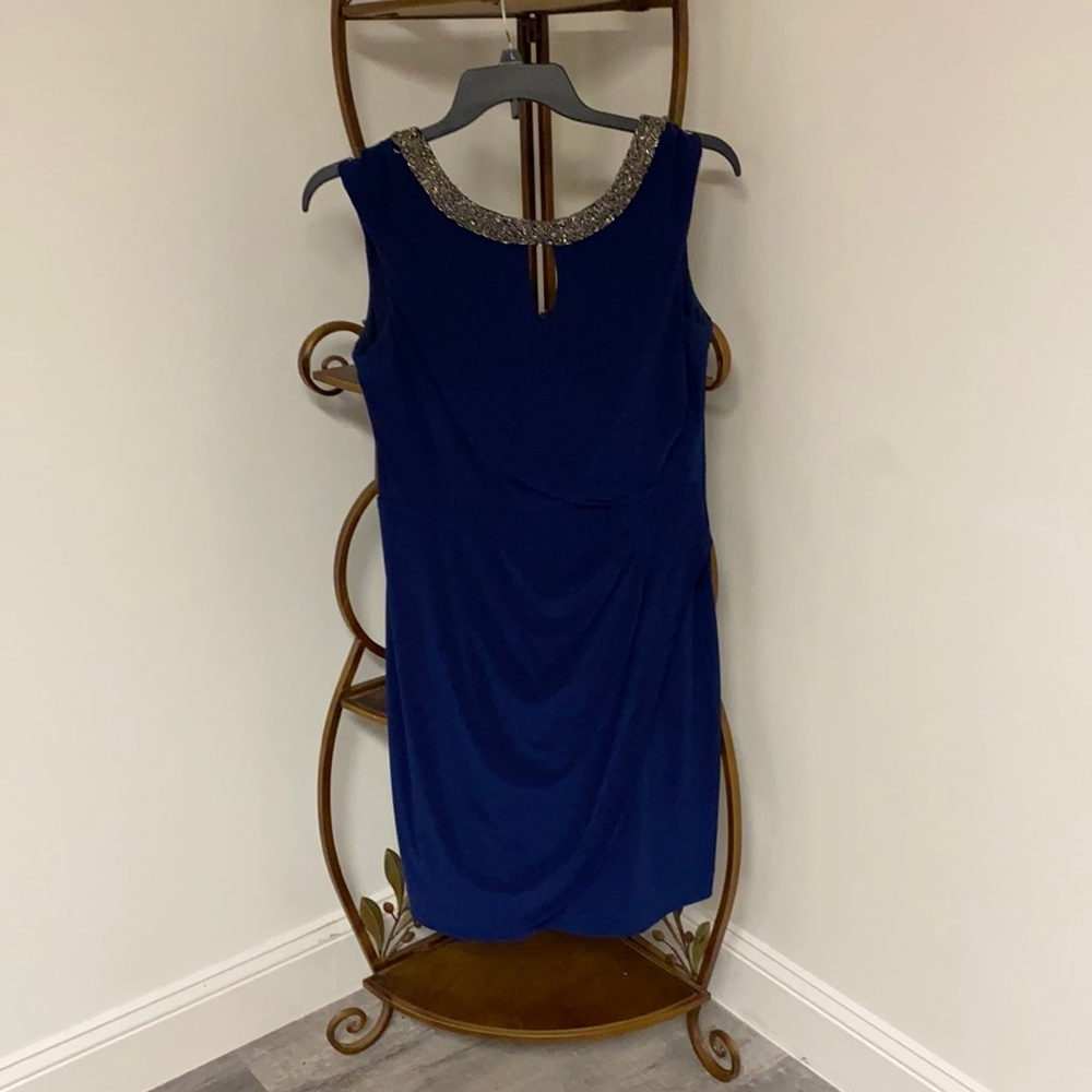 Alex evening gown 14 petite worn once